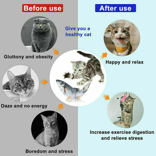 Interactive Electric Fish Cat Toy-1