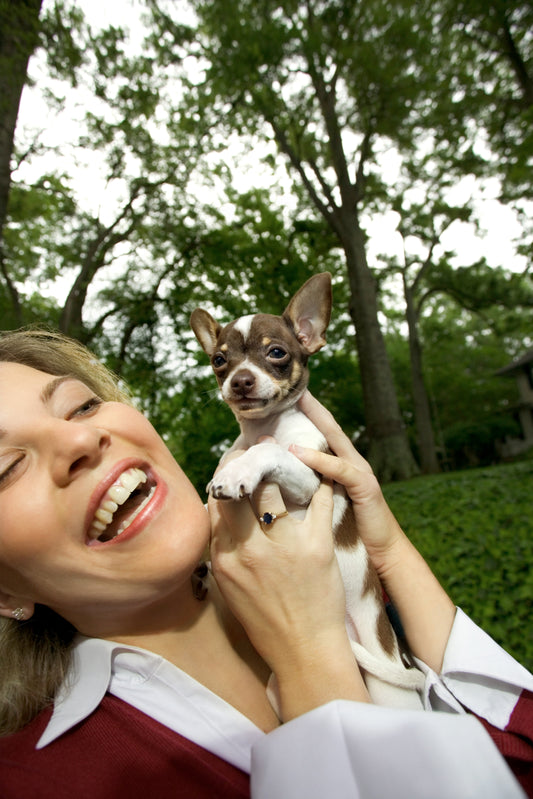 How to Build a Stronger Bond with Your Pet