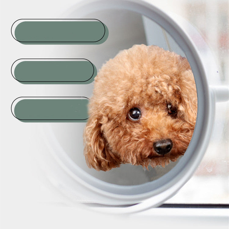 Cat and Dog Grooming Hammock Set-3