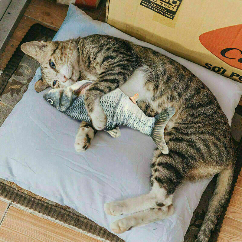 Interactive Electric Fish Cat Toy-3