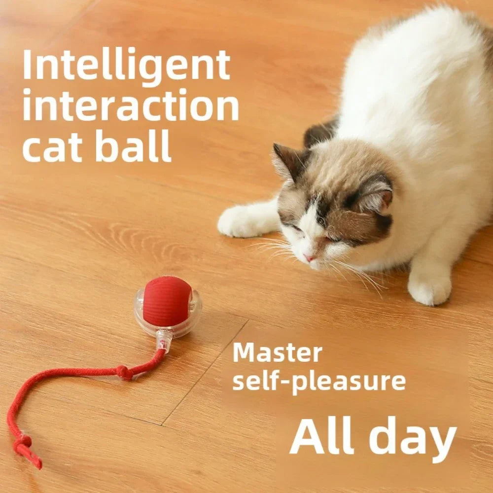 Interactive Rechargeable Cat Ball Toy-0