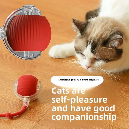 Interactive Rechargeable Cat Ball Toy-1