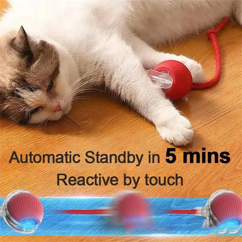 Interactive Rechargeable Cat Ball Toy-2