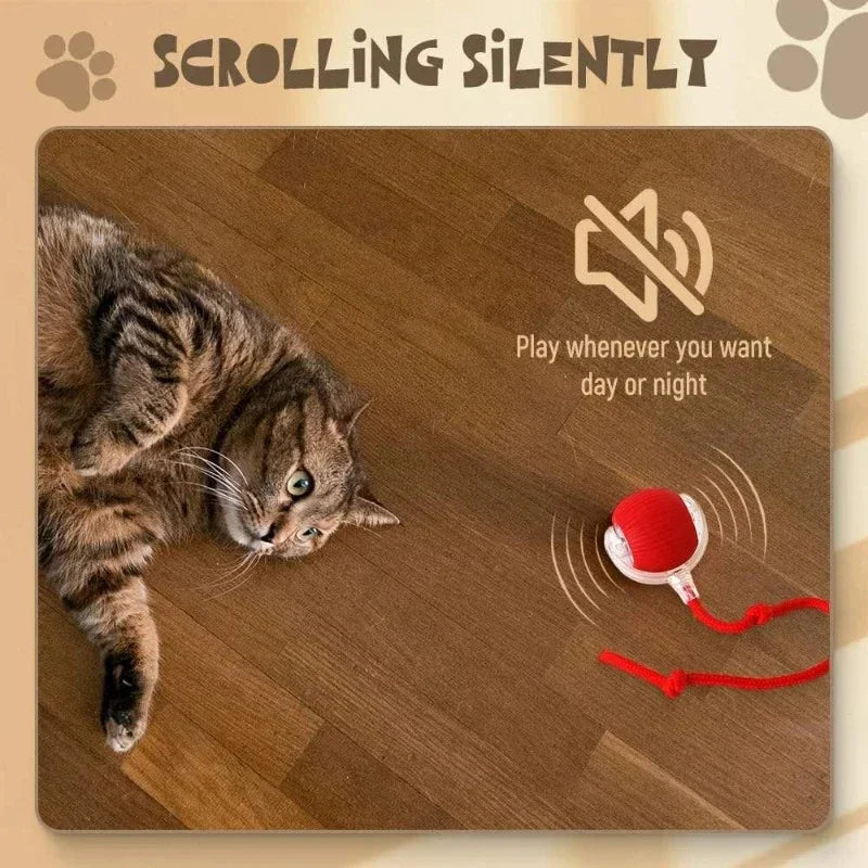 Interactive Rechargeable Cat Ball Toy-3