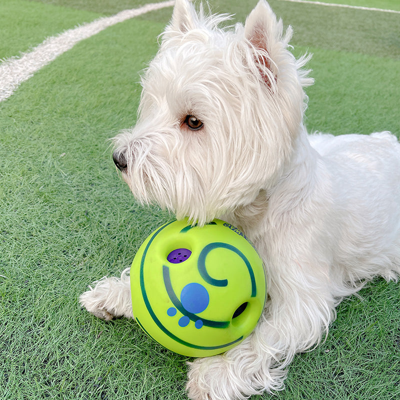 Lovely Paw Football Dog Toy-5