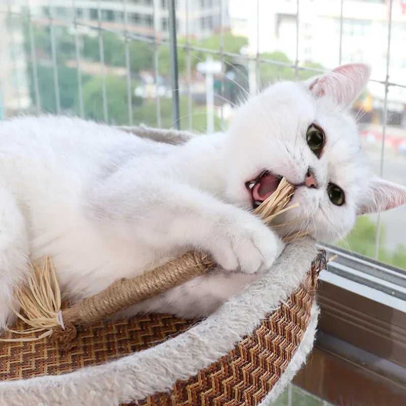 Organic Silvervine Cat Chew Sticks-4