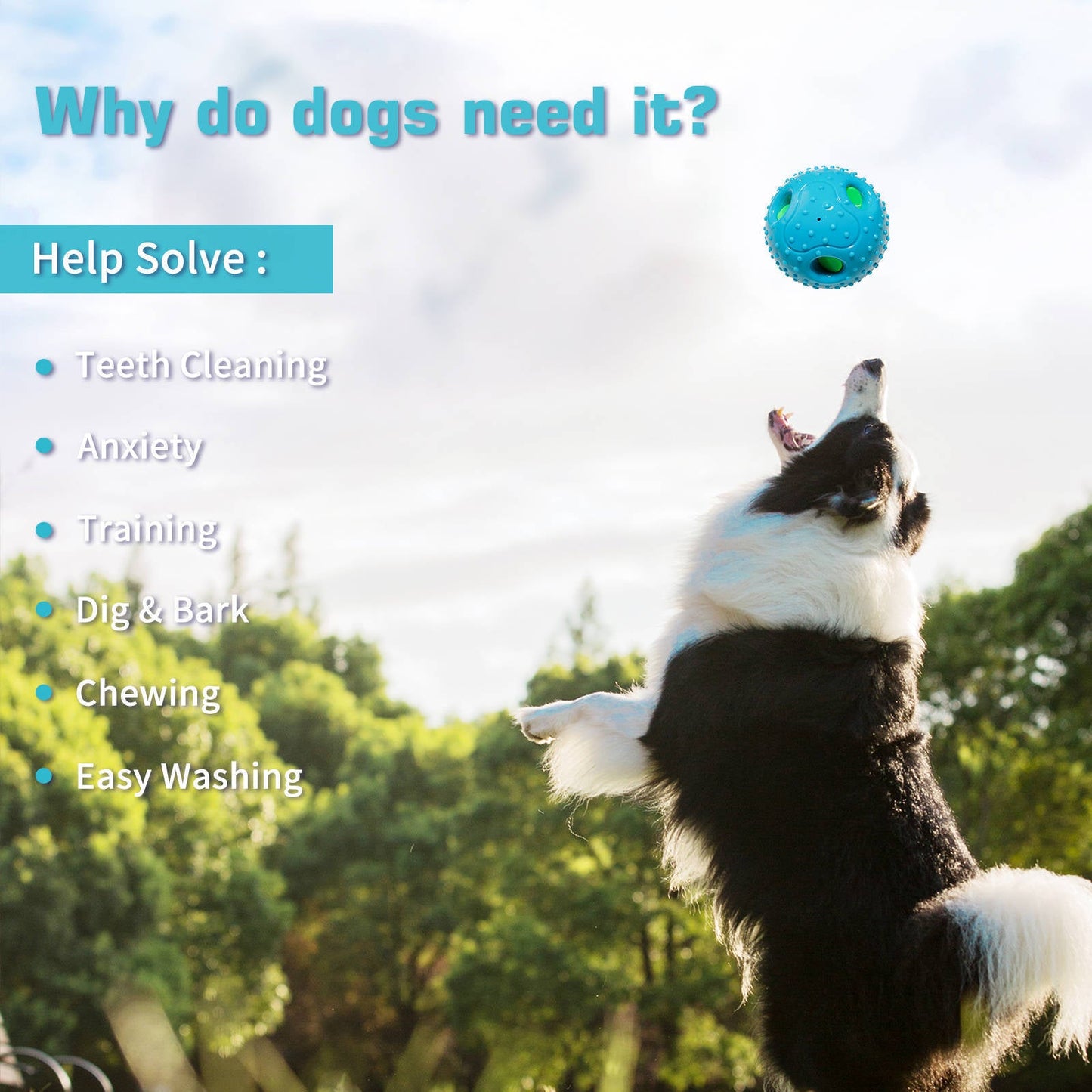 Squeaky Black Dog Play Ball-1