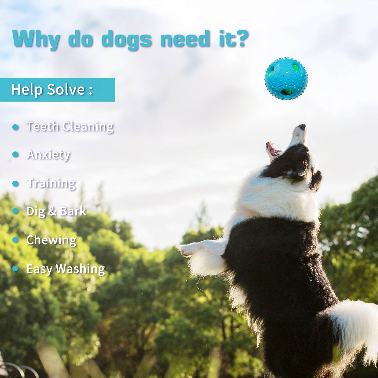 Squeaky Black Dog Play Ball-1